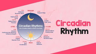 Circadian Rhythm Dietitian Shreya [upl. by Rosalba365]