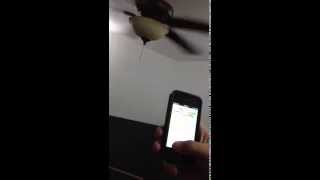 Fan Remote App Demo  Bluetooth Ceiling Fan [upl. by Hsinam]