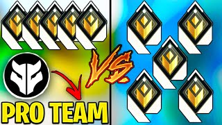 Registered Pro Team VS 5 Radiants  Whats the difference [upl. by Gerstner]