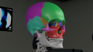 Chapter 1 Basic Sinus Anatomy [upl. by Deva]