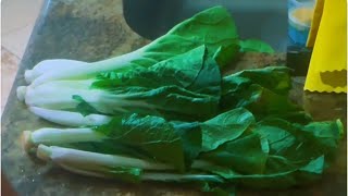 ASMR CUTTING🔪 PREPARING VEGETABLE FOR A HEALTHY MEAL FOR LUNCH 🥔🥬 [upl. by Oloapnaig]