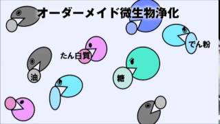 工場排水の処理法（活性汚泥法と微生物浄化法）【BioRESEシステムの紹介②】 [upl. by Keven]