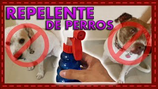 ¿Cómo Mantener a tu Perro Lejos de Lugares Prohibidos [upl. by Schwab]