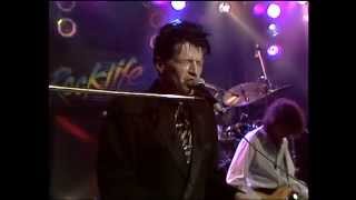 Herman Brood amp His Wild Romance Live  Rockpalast 11121990 Köln [upl. by Yesnel]