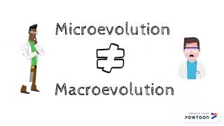 Microevolution vs Macroevolution [upl. by Ecinahc]