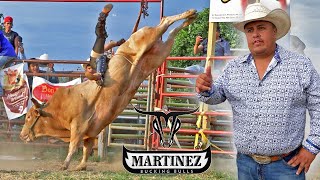 OTRA VICTIMA MAS DE ALCAPONE JR MARTINEZ RANCH EN PHILADELPHIA [upl. by Sculley40]