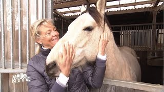 Was tun wenn ein Pferd Reiter nicht aufsteigen lässt  Andrea Kutsch im ZDF [upl. by Charlotte]