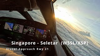 Landing Singapore  SeletarWSSLXSP  Gulfstream G650 [upl. by Sayette708]