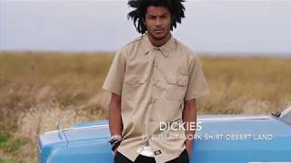 Dickies Clothing Brand  Streetwear Lookbook [upl. by Goldsworthy]