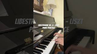 Libestraume No 3  Liszt Piano Practice pt 2 [upl. by Nylsoj798]