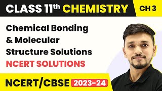 Class 11 Chemistry Chapter 4  Chemical Bonding amp Molecular Structure NCERT Solutions [upl. by Assirhc]