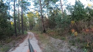 IT’S A BUCK BOYS LINE HIM UP Deer dog hunting SC season 2 ep 5 [upl. by Moguel]