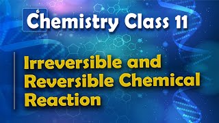 Irreversible and Reversible Chemical Reaction  Chemical Equilibrium  Chemistry Class 11 [upl. by Ylrahc]