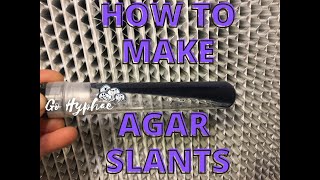 How to Make Agar Slants at Home [upl. by Zennas]