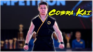 All Robby Fight Scenes  Cobra Kai [upl. by Idihsar]