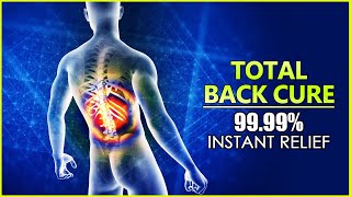 Total Back Cure Frequency quot100 Effectivequot  Instant Back Pain Relief Binaural Beats Music V090 [upl. by Deeyn533]