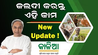 Kalia Yojana New Update Today  Kalia Yojana Online Apply Last Date 2023  Kalia Yojana New List [upl. by Tonl929]