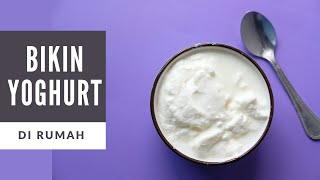 Cara Membuat Yogurt Sendiri Di Rumah DIJAMIN BERHASIL [upl. by Jempty697]