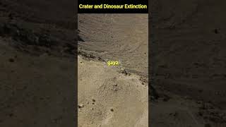 The Asteroid That Killed The Dinosaurs 🦕  shorts facts [upl. by Olathe390]