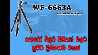 Weifeng WF 6663 A Professinoal Tripod Best Tripod Review  සිංහලෙන් camera Tripod [upl. by Eulau]