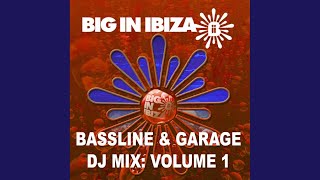 Bassline amp Garage DJ Mix Vol 1 Continuous DJ Mix [upl. by Nalepka]