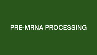 PremRNA Processing [upl. by Harraf]