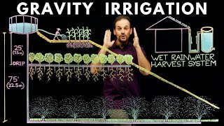 DIY Gravity Drip Irrigation System  Dont Let Them Plants Get Thirsty [upl. by Noak270]