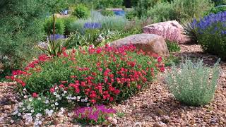 Austin Landscape Design Xeriscape [upl. by Anoirtac]