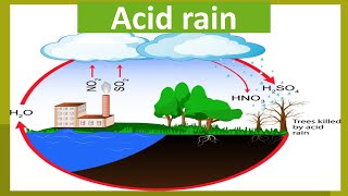 Acid RainGeneral Science Chapter 4 Acid Rain Class 8ScienceOfficialChannel [upl. by Clere640]