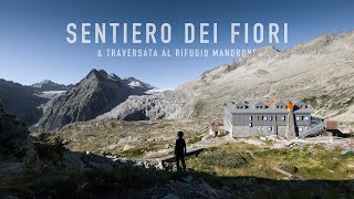 Sentiero dei Fiori e traversata al Rifugio Mandrone [upl. by Giverin]