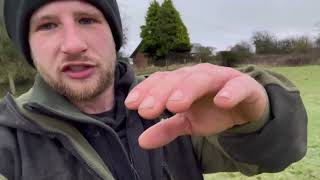 Whistle training a border collie sheepdog [upl. by Yurt258]