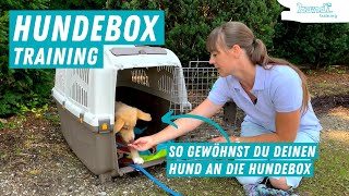 Hundebox Training  Wie gewöhne ich den Hund  Welpen an die Hundebox [upl. by Aztinad906]