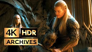 The Hobbit  The Desolation of Smaug  Orc Captured by Elves Scene  HDR  4K  51 [upl. by Duwalt]