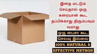 கரையானை ஒழிக்க இயற்கை வழிHow to Get Rid of Termites at Home NaturallyNew MethodF amp I Tamil [upl. by Vikki943]