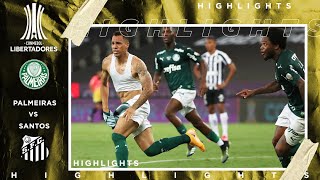 Palmeiras vs Santos  LIBERTADORES FINAL HIGHLIGHTS  1302021  beIN SPORTS USA [upl. by Yves]