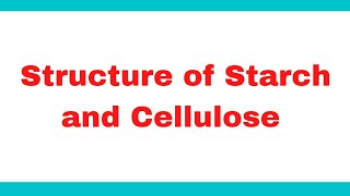 Structure of Starch and Cellulose  Structure of amylose and amylopectin [upl. by Runstadler126]