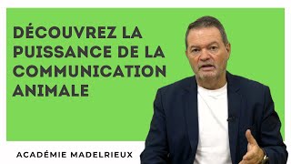 COMMENT COMMUNIQUER AVEC LA CONSCIENCE ANIMALE [upl. by Hillman]