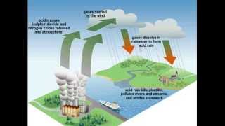 Acid rain for iGCSE Biology [upl. by Kyd167]