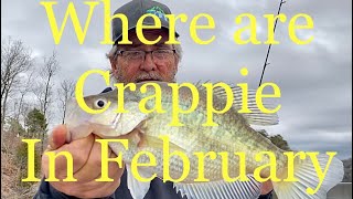 CRAPPIE FISHING Locating crappie in February [upl. by Aislehc]