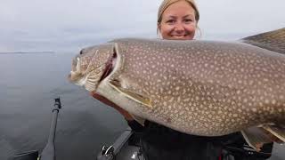 Lake Nipigon Lakers [upl. by Tena199]