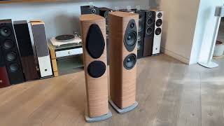 Sonus Faber Sonetto III G2  Altavoces de suelo [upl. by Cornel478]