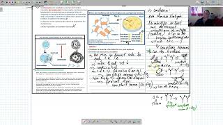 svt immunologie roles et mode daction des anticorps suite [upl. by Ansilma]