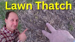 What is Lawn Thatch Lawn Dethatching Tips [upl. by Rodrick]