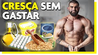 12 Alimentos MAIS BARATOS pra GANHAR músculo [upl. by Acissaj681]