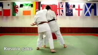 TJJF Novice Syllabus  Throws Bottle Defences Ground Holds and Kicks [upl. by Nosnarb636]