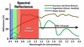 Spectral Reflectance Curves What is Remote Sensing [upl. by Perceval]