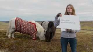 Shetland Ponies  Whats Your Natural Scotland  VisitScotland [upl. by Etnoed]