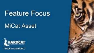 Feature Focus  MiCat Assets [upl. by Tammy]