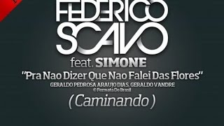 Federico Scavo Ft Simone  Pra nao dizer que nao falei das flores Caminando [upl. by Asle]