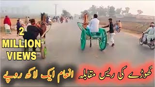 horse race  Inam Eke lakh rupees  Bindass comedy [upl. by Leorsiy]